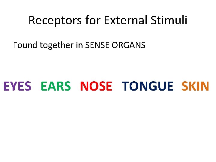 Receptors for External Stimuli Found together in SENSE ORGANS EYES EARS NOSE TONGUE SKIN