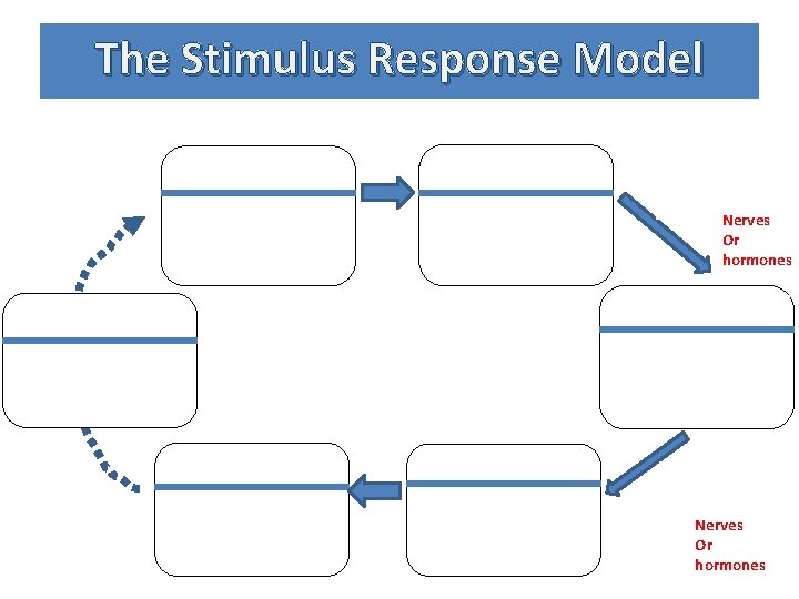 The Stimulus Response Model Stimulus A change in the internal or external environment that