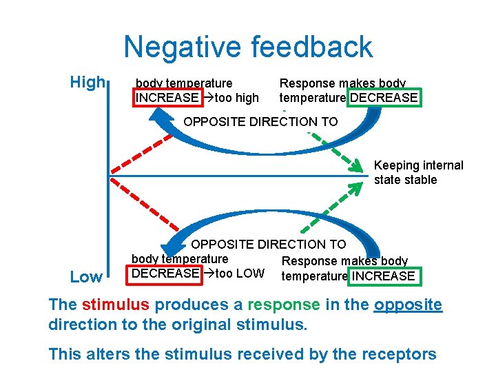 Negative feedback High body temperature INCREASE too high Response makes body temperature DECREASE OPPOSITE