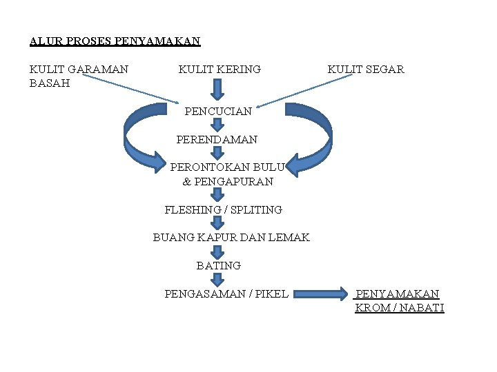 ALUR PROSES PENYAMAKAN KULIT GARAMAN BASAH KULIT KERING KULIT SEGAR PENCUCIAN PERENDAMAN PERONTOKAN BULU