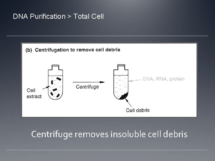 DNA Purification > Total Cell Centrifuge removes insoluble cell debris 
