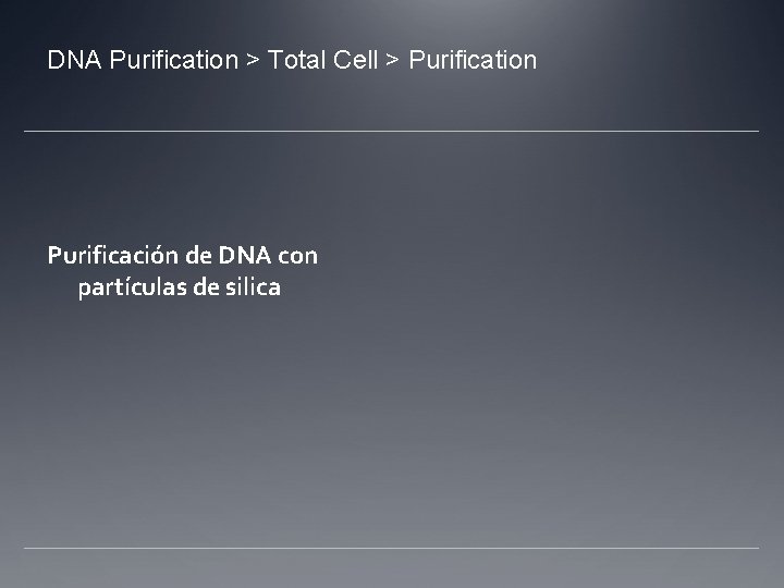 DNA Purification > Total Cell > Purification Purificación de DNA con partículas de silica