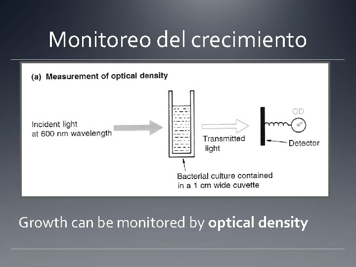 Monitoreo del crecimiento Growth can be monitored by optical density 