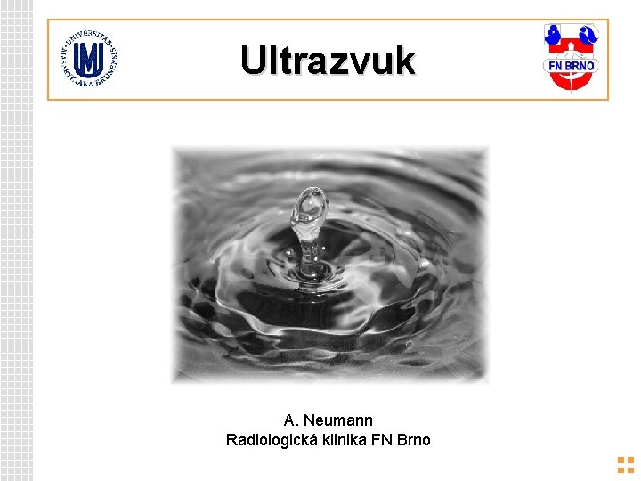 Ultrazvuk A. Neumann Radiologická klinika FN Brno 