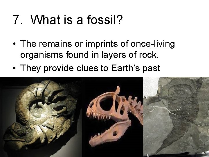 7. What is a fossil? • The remains or imprints of once-living organisms found