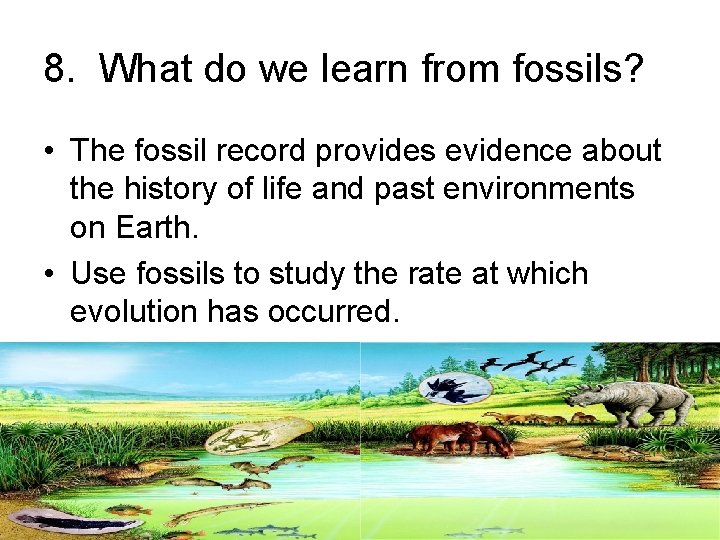 8. What do we learn from fossils? • The fossil record provides evidence about