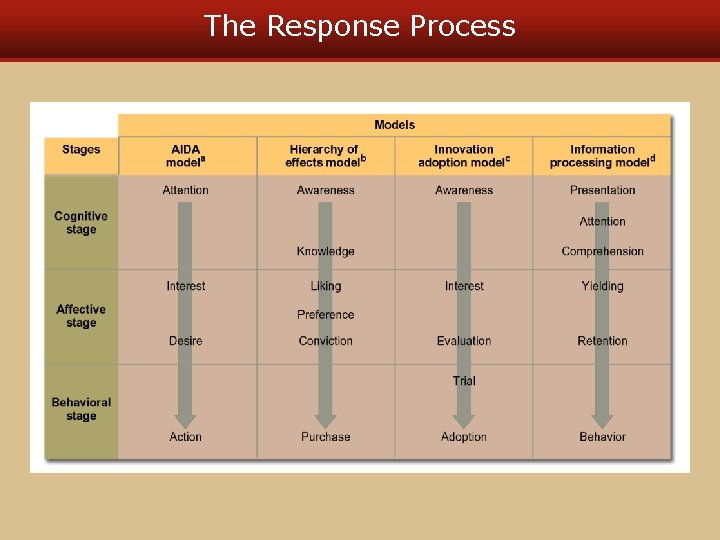 The Response Process The Response Process