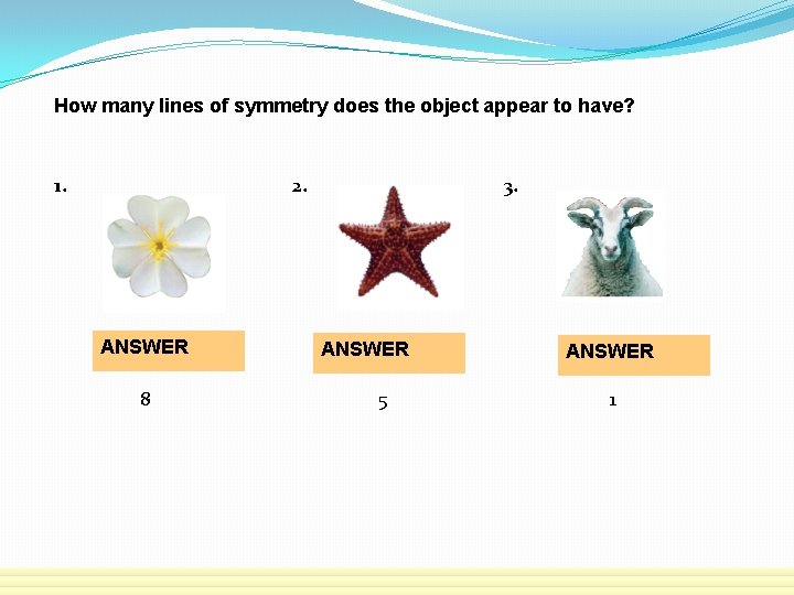 How many lines of symmetry does the object appear to have? 1. 2. ANSWER