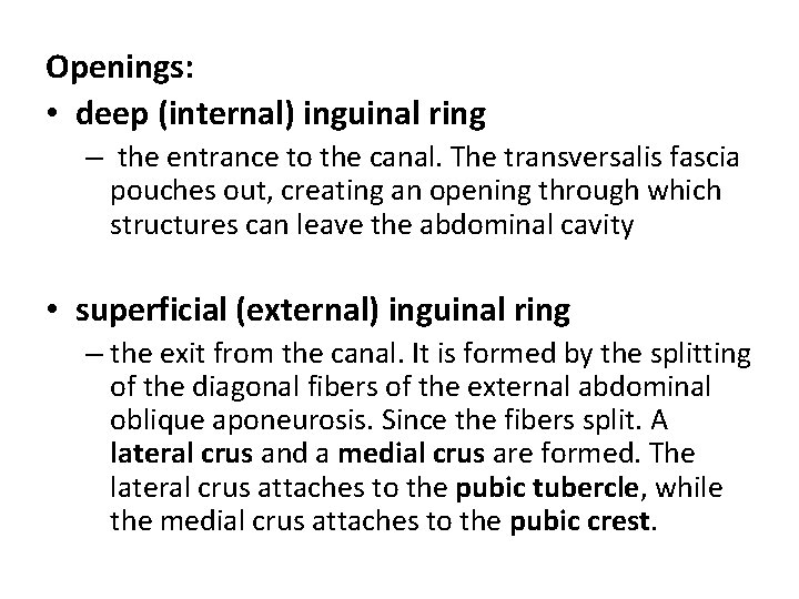 Openings: • deep (internal) inguinal ring – the entrance to the canal. The transversalis