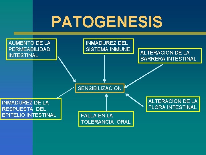 PATOGENESIS AUMENTO DE LA PERMEABILIDAD INTESTINAL INMADUREZ DEL SISTEMA INMUNE ALTERACION DE LA BARRERA