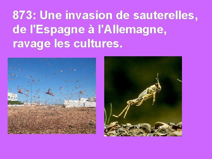 873: Une invasion de sauterelles, de l'Espagne à l'Allemagne, ravage les cultures. 