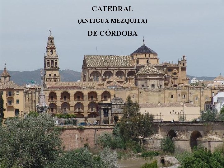 CATEDRAL (ANTIGUA MEZQUITA) DE CÓRDOBA 