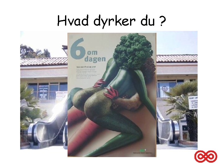 Hvad dyrker du ? 