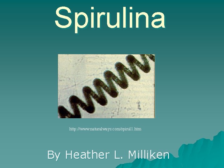 Spirulina http: //www. naturalways. com/spirul 1. htm By Heather L. Milliken 
