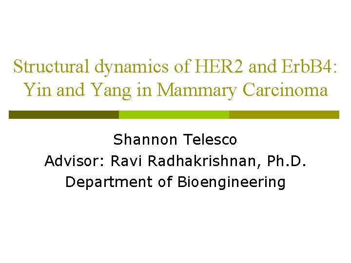 Structural dynamics of HER 2 and Erb. B 4: Yin and Yang in Mammary