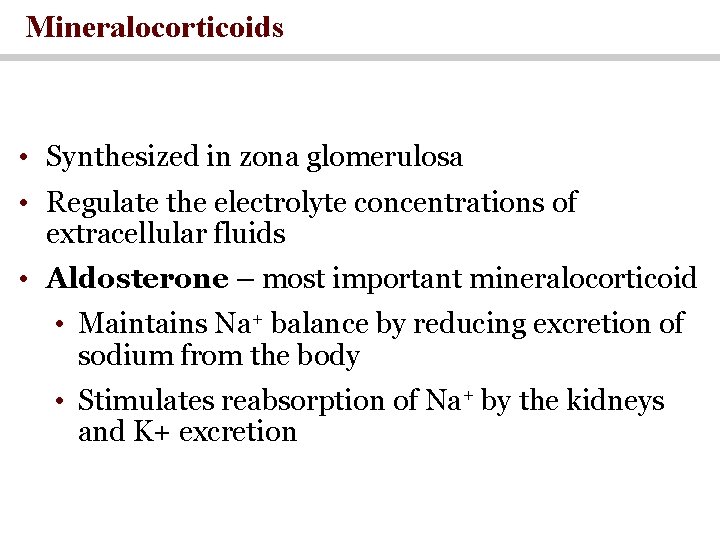 Mineralocorticoids • Synthesized in zona glomerulosa • Regulate the electrolyte concentrations of extracellular fluids