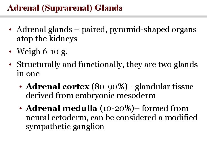 Adrenal (Suprarenal) Glands • Adrenal glands – paired, pyramid-shaped organs atop the kidneys •