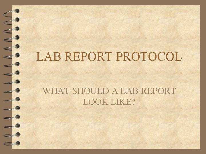 LAB REPORT PROTOCOL WHAT SHOULD A LAB REPORT LOOK LIKE? 