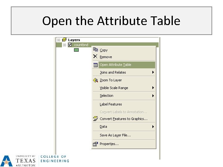 Open the Attribute Table 