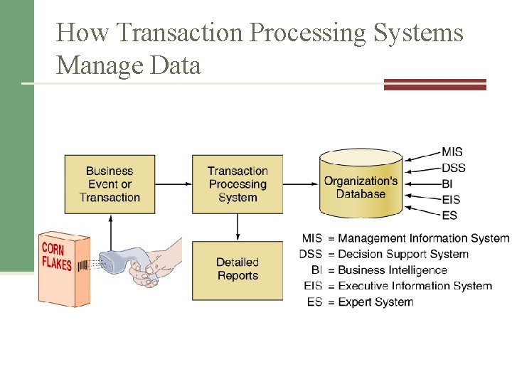 How Transaction Processing Systems Manage Data How Transaction Processing Systems Manage Data