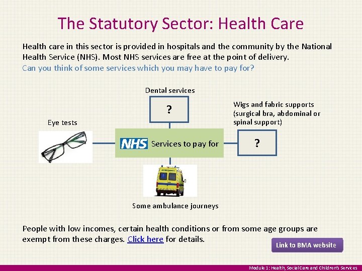 The Statutory Sector: Health Care Health care in this sector is provided in hospitals
