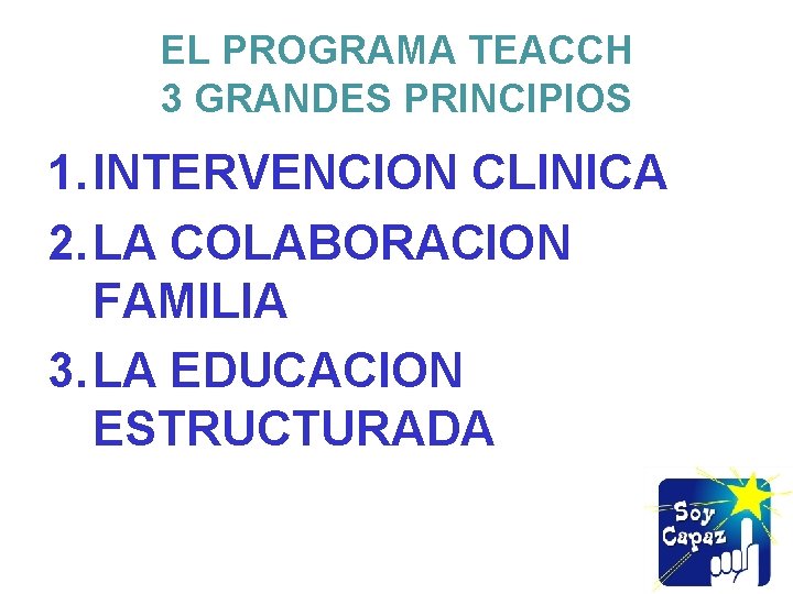 EL PROGRAMA TEACCH 3 GRANDES PRINCIPIOS 1. INTERVENCION CLINICA 2. LA COLABORACION FAMILIA 3.