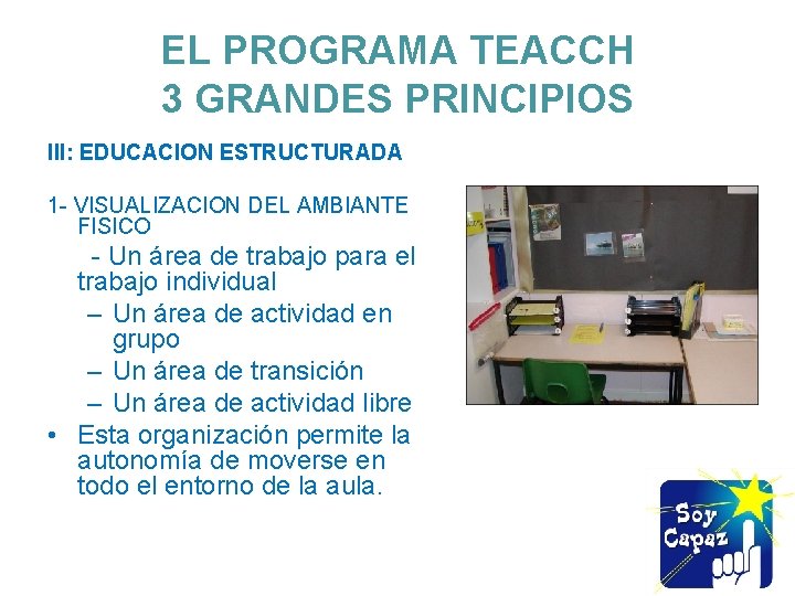 EL PROGRAMA TEACCH 3 GRANDES PRINCIPIOS III: EDUCACION ESTRUCTURADA 1 - VISUALIZACION DEL AMBIANTE