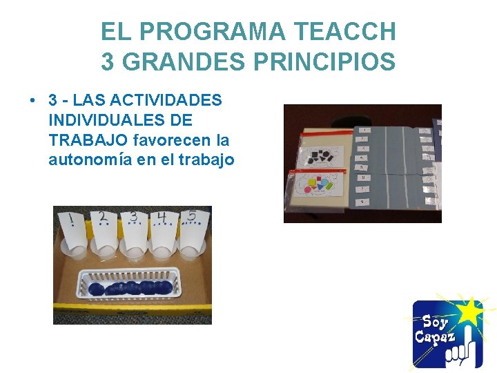 EL PROGRAMA TEACCH 3 GRANDES PRINCIPIOS • 3 - LAS ACTIVIDADES INDIVIDUALES DE TRABAJO