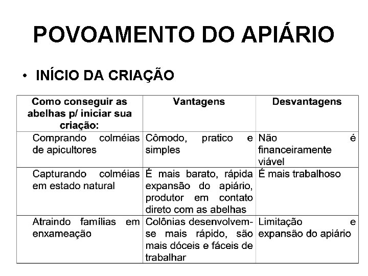 POVOAMENTO DO APIÁRIO • INÍCIO DA CRIAÇÃO 