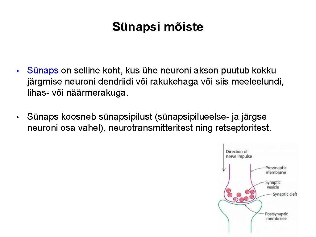 Sünapsi mõiste • Sünaps on selline koht, kus ühe neuroni akson puutub kokku järgmise