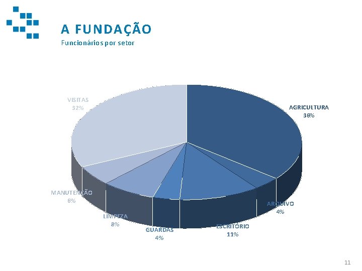 A FUNDAÇÃO Funcionários por setor VISITAS 32% AGRICULTURA 36% MANUTENÇÃO 6% LIMPEZA 8% ARQUIVO