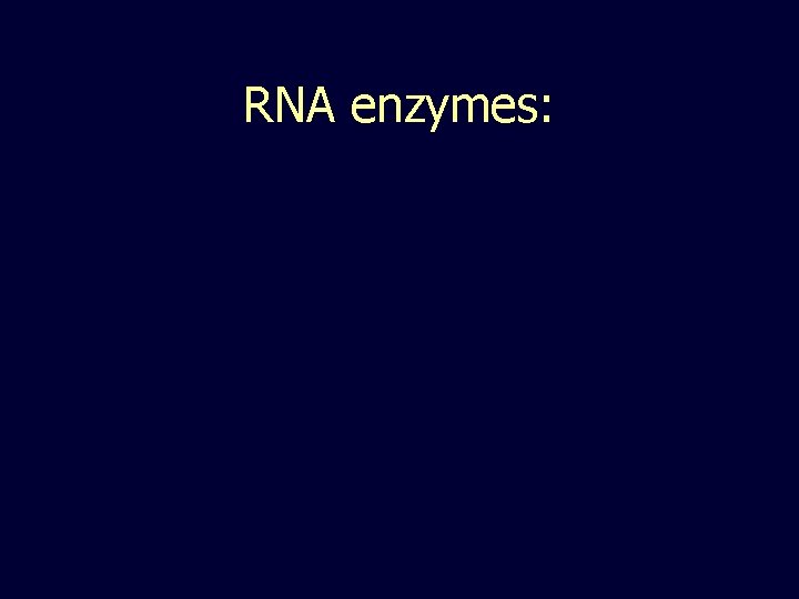 RNA enzymes: 