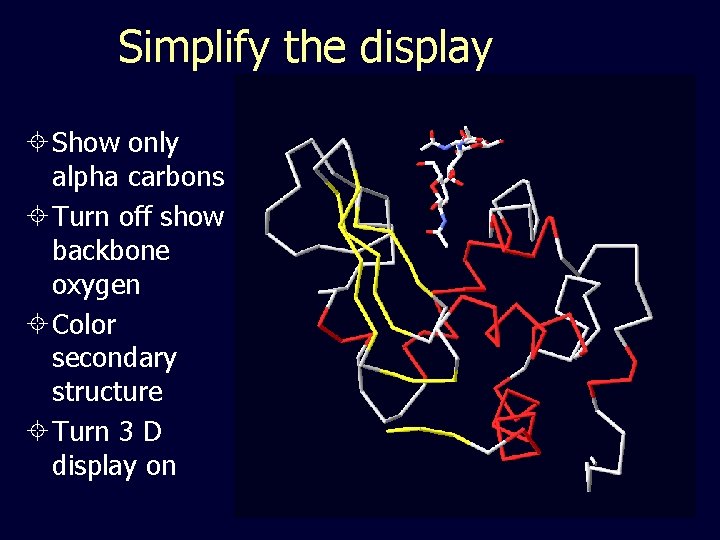 Simplify the display Show only alpha carbons Turn off show backbone oxygen Color secondary