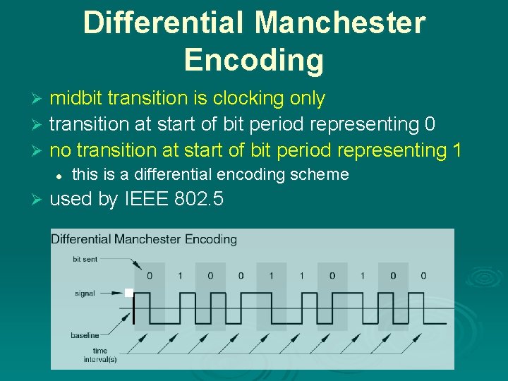 Differential Manchester Encoding midbit transition is clocking only Ø transition at start of bit