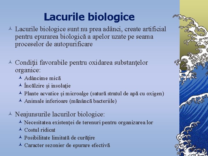 Lacurile biologice © Lacurile biologice sunt nu prea adânci, create artificial pentru epurarea biologică