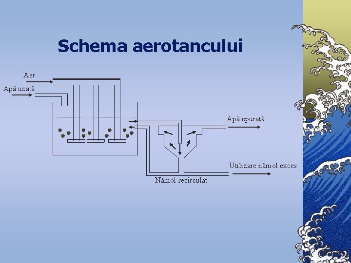 Schema aerotancului Aer Apă uzată Apă epurată Utilizare nămol exces Nămol recirculat 