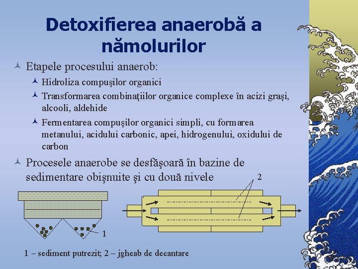 Detoxifierea anaerobă a nămolurilor © Etapele procesului anaerob: © Hidroliza compuşilor organici © Transformarea