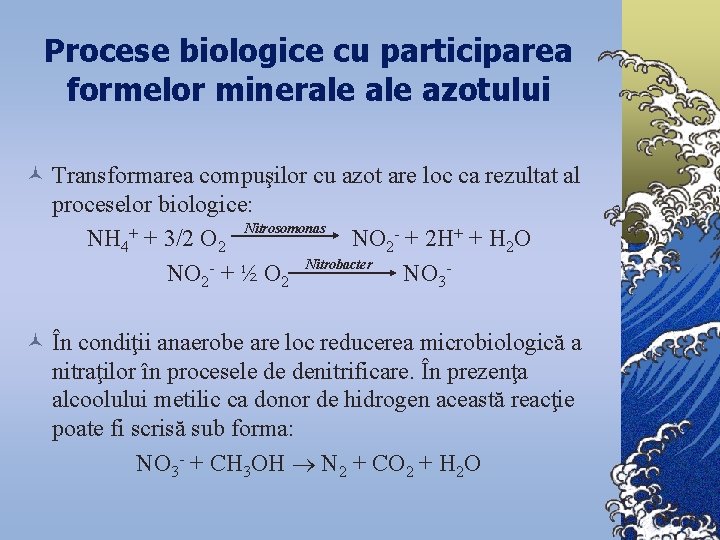 Procese biologice cu participarea formelor minerale azotului © Transformarea compuşilor cu azot are loc