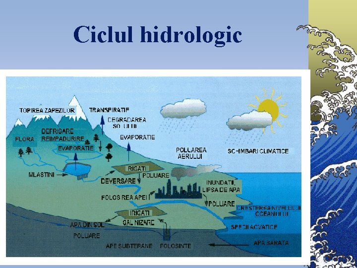 Ciclul hidrologic 