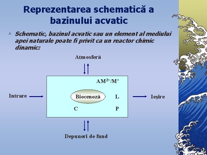 Reprezentarea schematică a bazinului acvatic © Schematic, bazinul acvatic sau un element al mediului