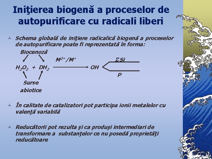 Iniţierea biogenă a proceselor de autopurificare cu radicali liberi © Schema globală de iniţiere