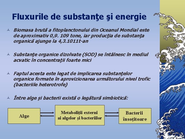 Fluxurile de substanţe şi energie © Biomasa brută a fitoplanctonului din Oceanul Mondial este
