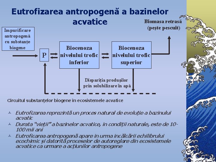 Eutrofizarea antropogenă a bazinelor Biomasa retrasă acvatice (peşte pescuit) Impurificare antropogenă cu substanţe biogene