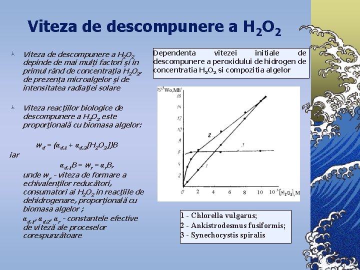 Viteza de descompunere a H 2 O 2 © Viteza de descompunere a H