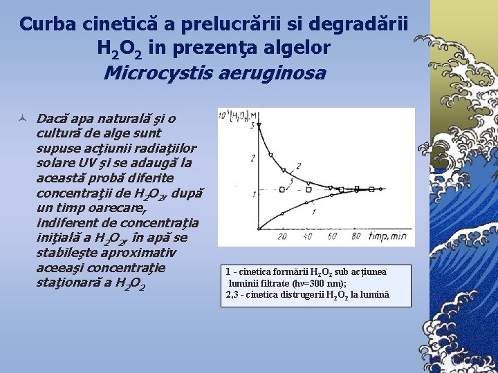 Curba cinetică a prelucrării si degradării H 2 O 2 in prezenţa algelor Microcystis