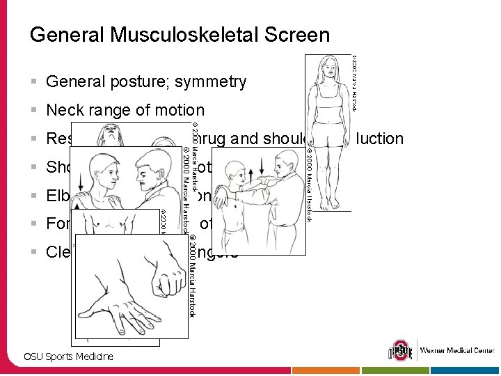 General Musculoskeletal Screen § General posture; symmetry § Neck range of motion § Resisted