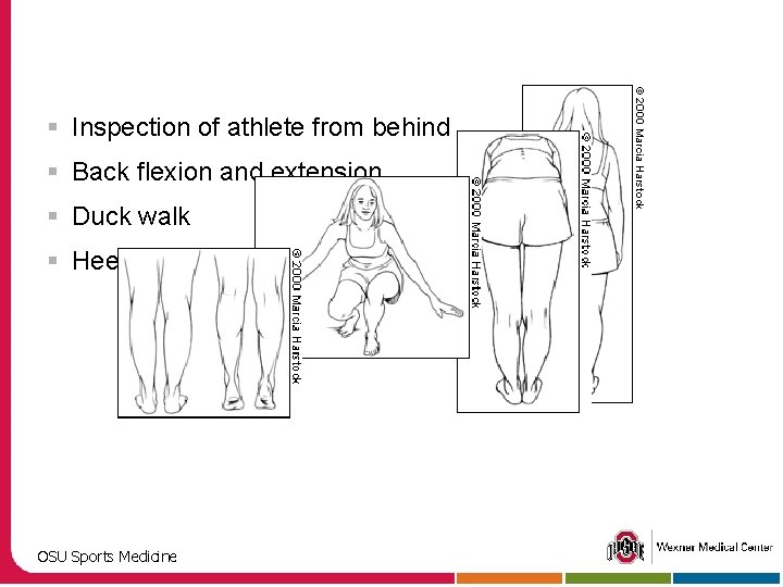 § Inspection of athlete from behind § Back flexion and extension § Duck walk