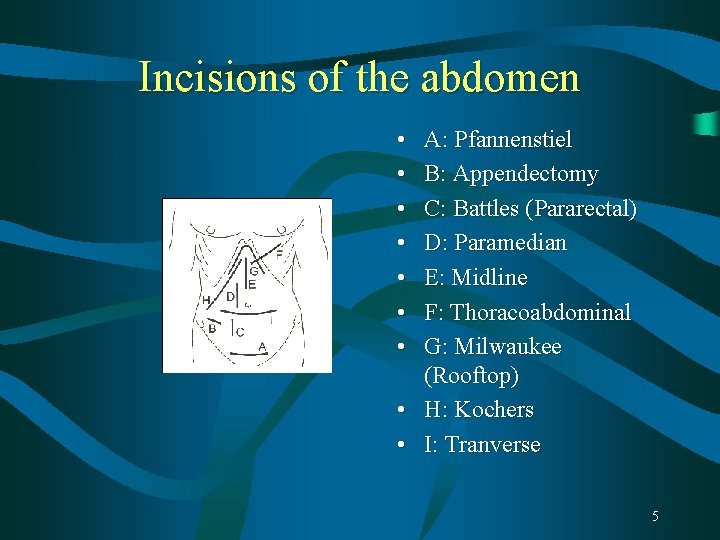 Incisions of the abdomen • • A: Pfannenstiel B: Appendectomy C: Battles (Pararectal) D: Incisions of the abdomen • • A: Pfannenstiel B: Appendectomy C: Battles (Pararectal) D: