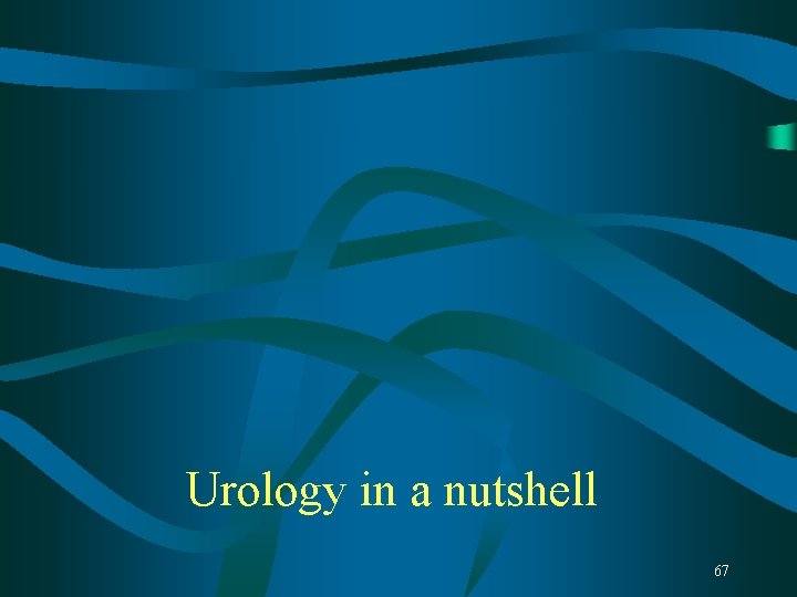 Urology in a nutshell 67 Urology in a nutshell 67