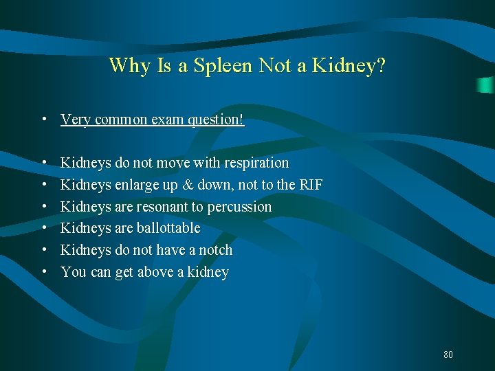 Why Is a Spleen Not a Kidney? • Very common exam question! • • Why Is a Spleen Not a Kidney? • Very common exam question! • •